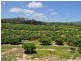 Hawkins Road, Mareeba QLD 4880