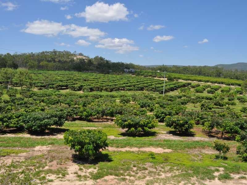 Hawkins Road, Mareeba QLD 4880