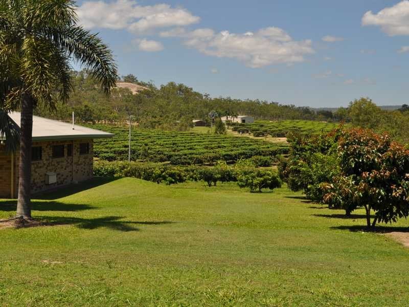 Hawkins Road, Mareeba QLD 4880