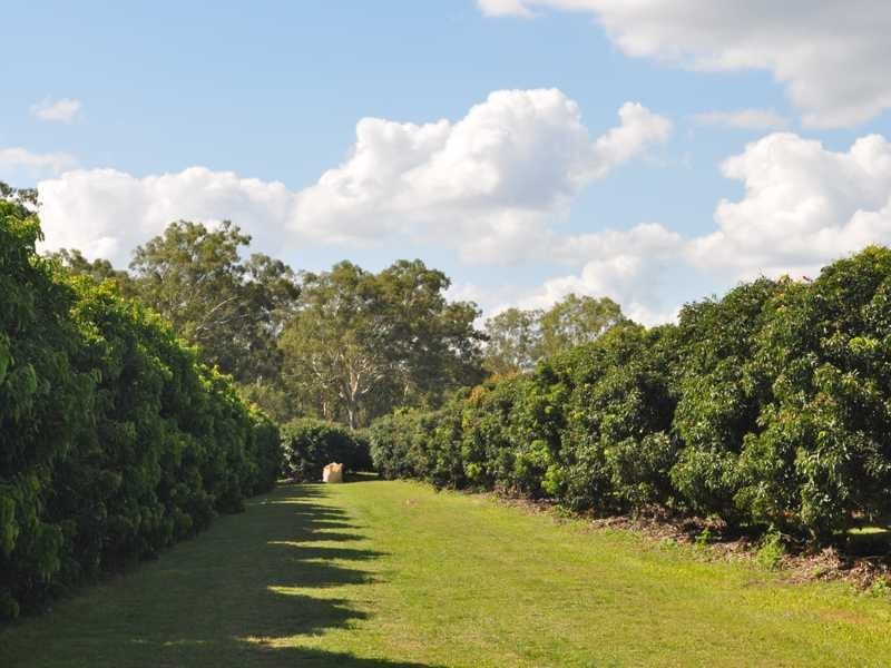 375 Bower Road, Mareeba QLD 4880