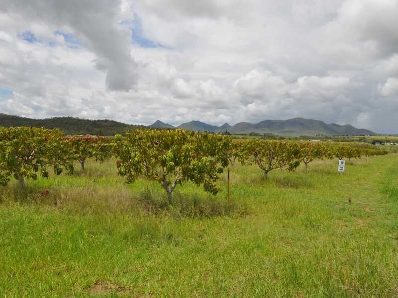 Lot 222 Dimbulah – Normanton Road, Dimbulah QLD 4872