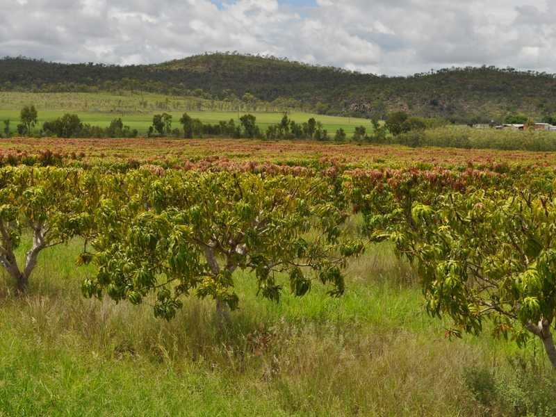 Lot 222 Dimbulah – Normanton Road, Dimbulah QLD 4872