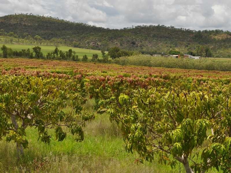 Lot 222 Dimbulah – Normanton Road, Dimbulah QLD 4872