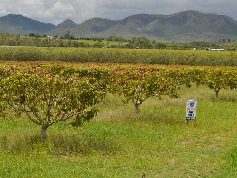 Lot 222 Dimbulah – Normanton Road, Dimbulah QLD 4872