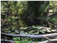 19 Leila’s Way, Kuranda QLD 4881