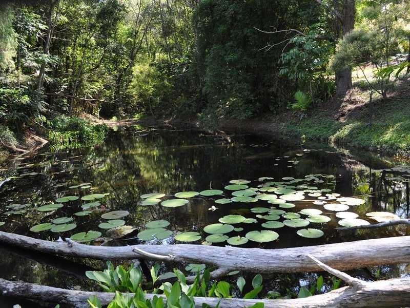 19 Leila’s Way, Kuranda QLD 4881