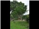 13 Vaughan St, Mareeba QLD 4880