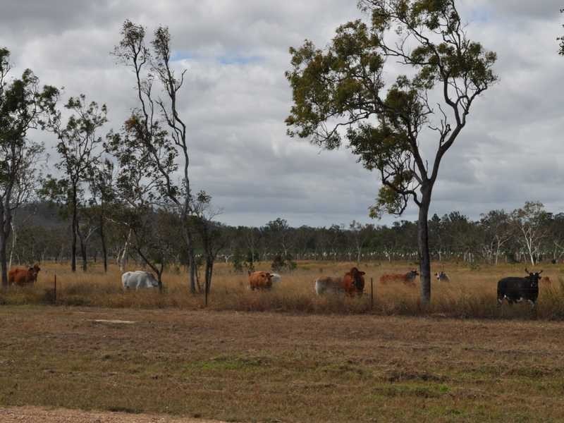 Lot 139 Penninsula Development Road, Biboohra QLD 4880
