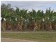 Lot 139 Penninsula Development Road, Biboohra QLD 4880