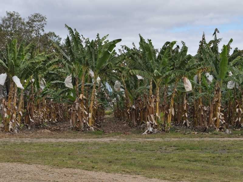 Lot 139 Penninsula Development Road, Biboohra QLD 4880