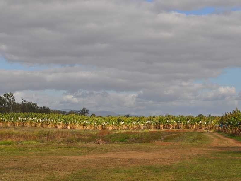 Lot 139 Penninsula Development Road, Biboohra QLD 4880