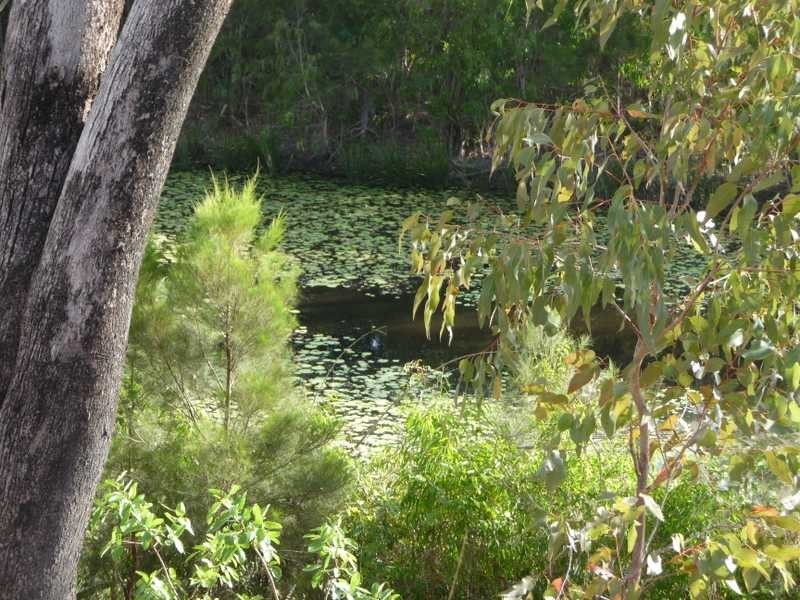 L162 Springmount Weir Road, Mareeba QLD 4880