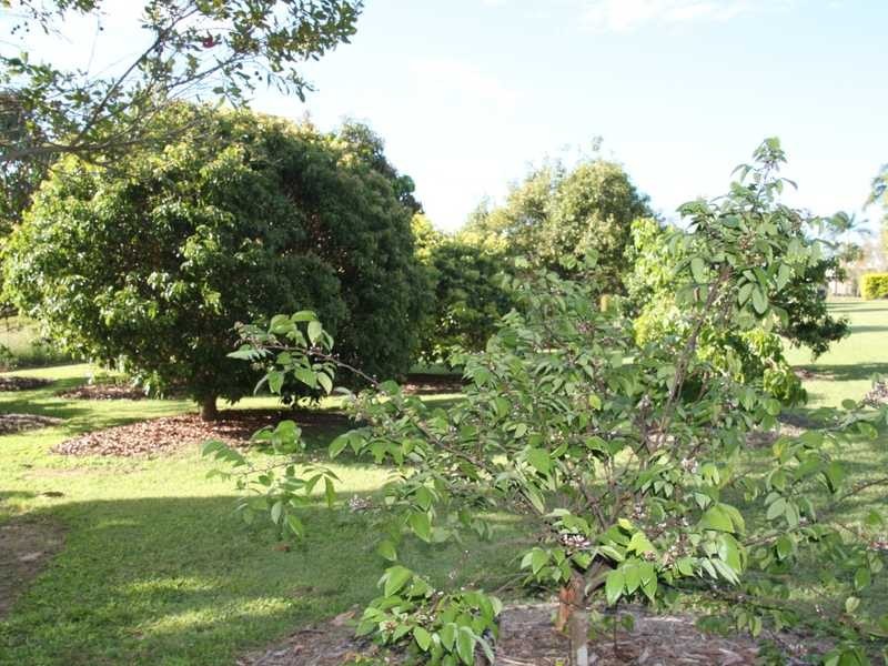 2 Catherine Close, Mareeba QLD 4880