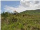 Lot 4 Springmount Road Arriga, Mareeba QLD 4880