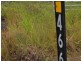RN 466 Shanty Creek Rd, Mareeba QLD 4880