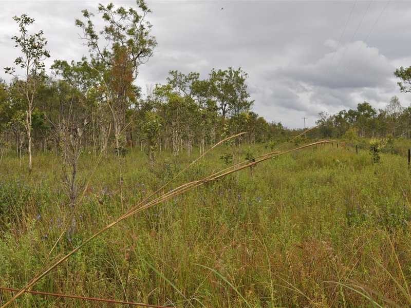 RN 466 Shanty Creek Rd, Mareeba QLD 4880