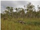 RN 466 Shanty Creek Rd, Mareeba QLD 4880