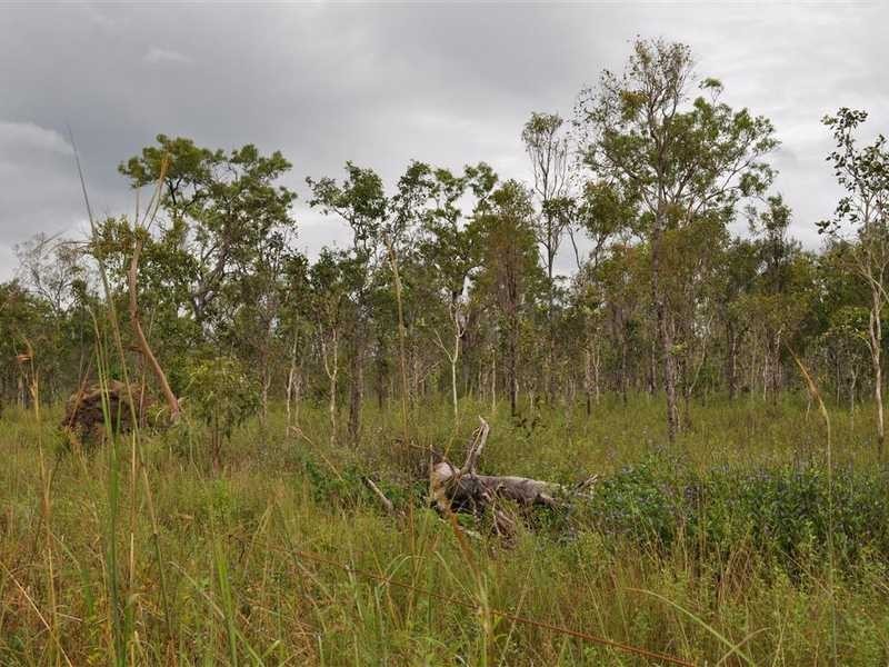 RN 466 Shanty Creek Rd, Mareeba QLD 4880