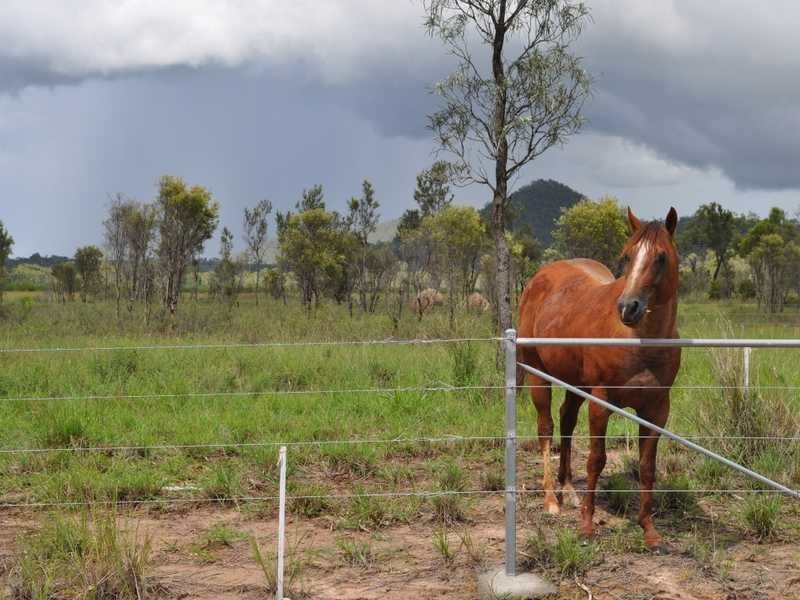 Lot 105 Macadamia Street, Mareeba QLD 4880