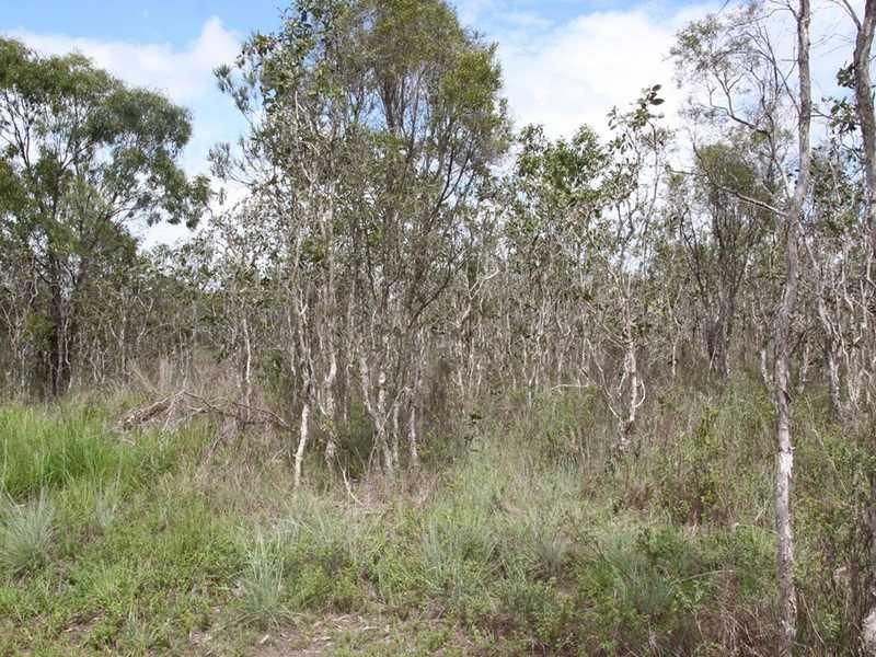 492 Bilwon Road, Biboohra QLD 4880