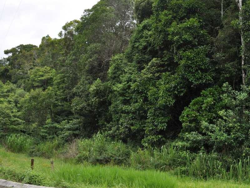 Lot 62 Ganyan Drive, Kuranda QLD 4881