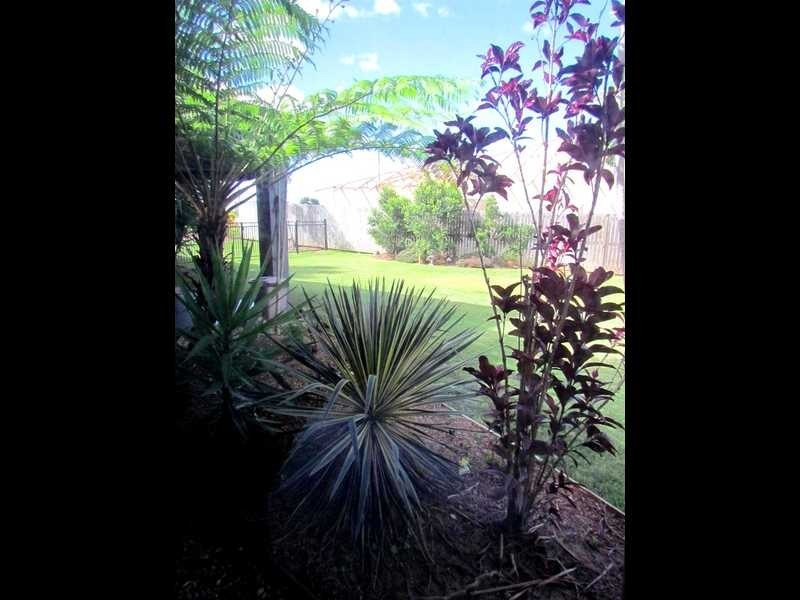 7 Peluchetti Place, Mareeba QLD 4880