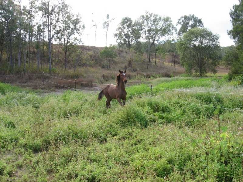 428 Tinaroo Creek Road, Mareeba QLD 4880