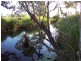 428 Tinaroo Creek Road, Mareeba QLD 4880