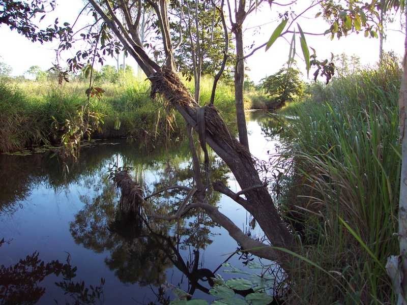 428 Tinaroo Creek Road, Mareeba QLD 4880