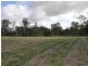 Lot 62 Rosing Road, Mareeba QLD 4880