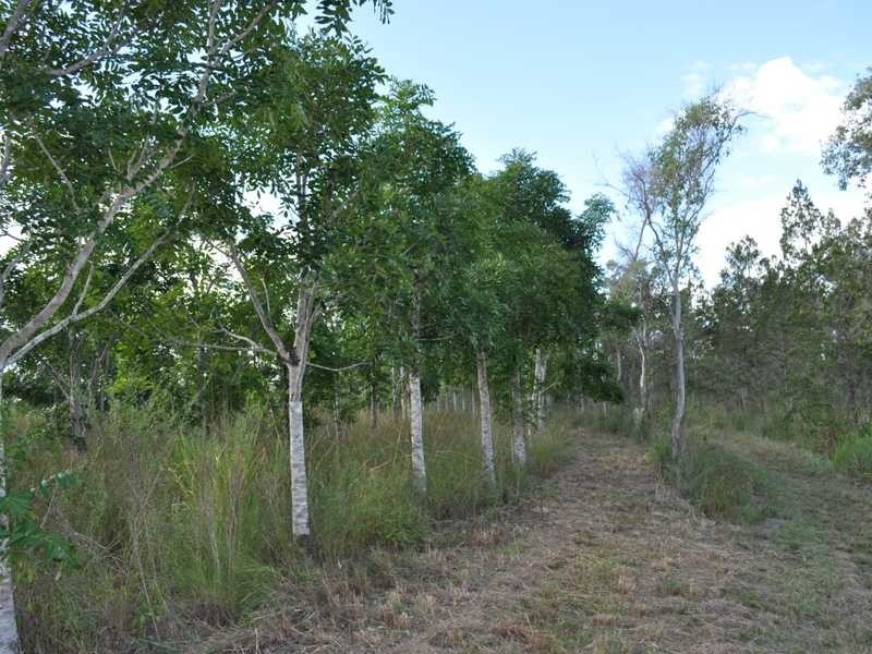 Lot 62 Rosing Road, Mareeba QLD 4880