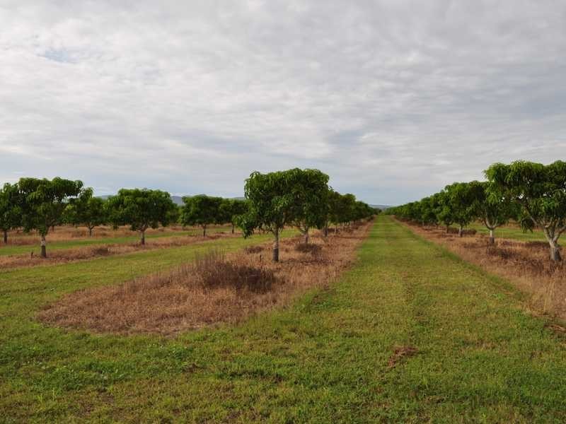 Randazzo Road, Mareeba QLD 4880