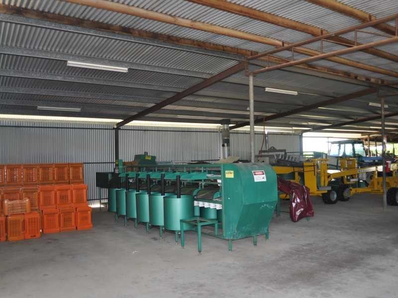 Randazzo Road, Mareeba QLD 4880