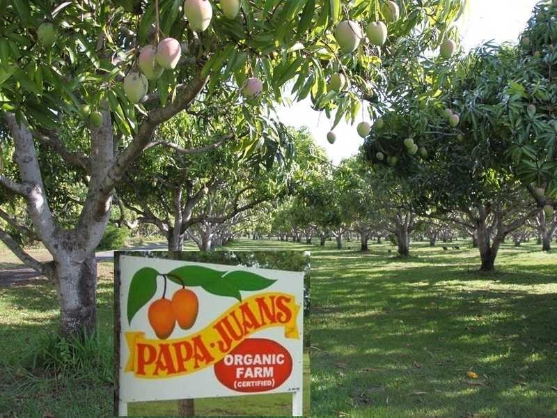 3762 Kennedy Highway, Mareeba QLD 4880