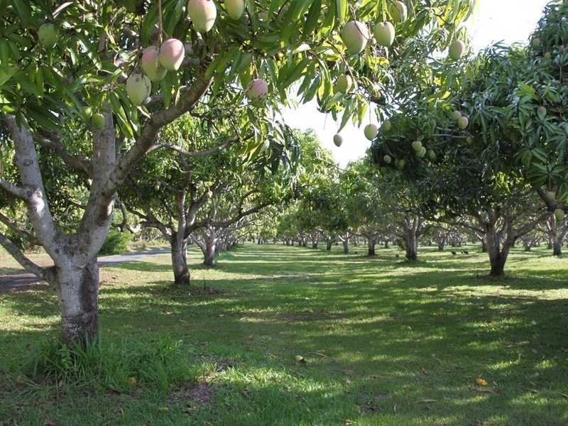 3762 Kennedy Highway, Mareeba QLD 4880