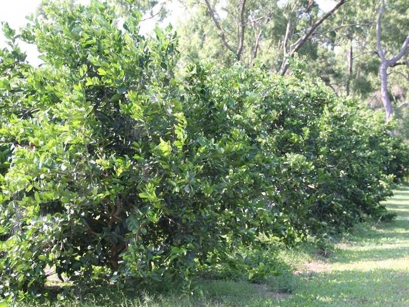 3762 Kennedy Highway, Mareeba QLD 4880