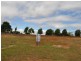 Lot 268 Michelina Close, Mareeba QLD 4880
