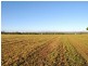 Lot 28 Bellevue Estate, Mareeba QLD 4880