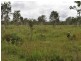 RN 370 Shanty Creek Road, Mareeba QLD 4880
