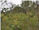 RN 390 Shanty Creek Road, Mareeba QLD 4880