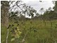 RN 390 Shanty Creek Road, Mareeba QLD 4880