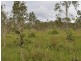 RN 390 Shanty Creek Road, Mareeba QLD 4880