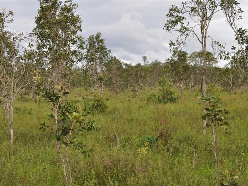 RN 390 Shanty Creek Road, Mareeba QLD 4880