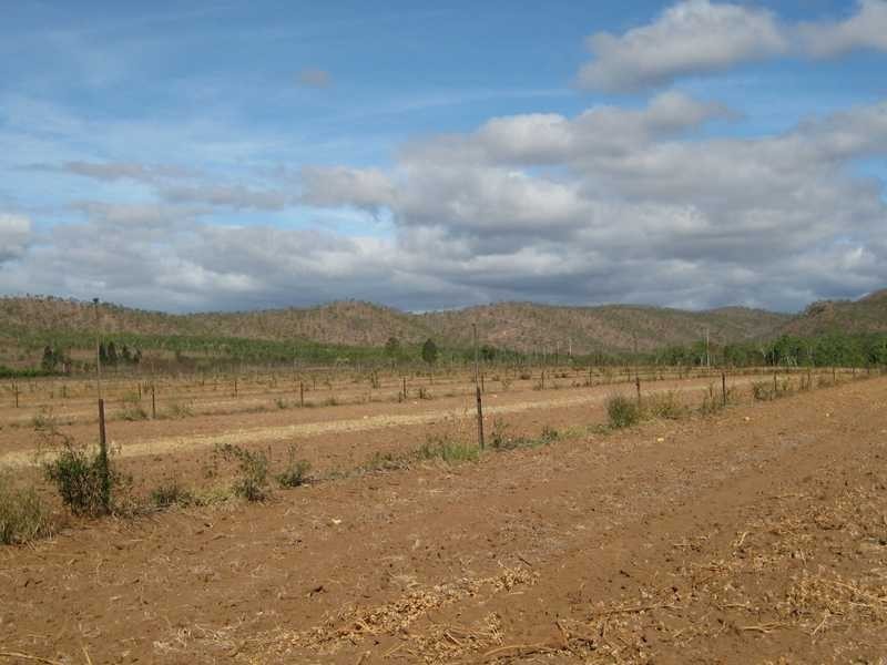 Boonmoo Road, Dimbulah QLD 4872