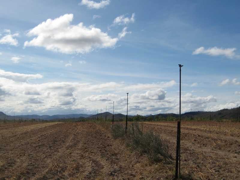 Boonmoo Road, Dimbulah QLD 4872