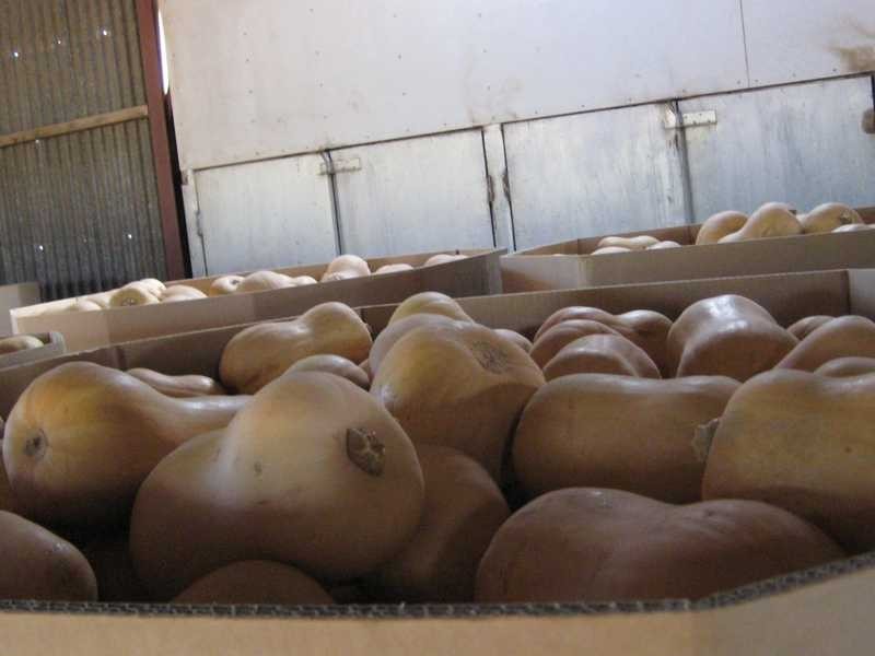 Boonmoo Road, Dimbulah QLD 4872