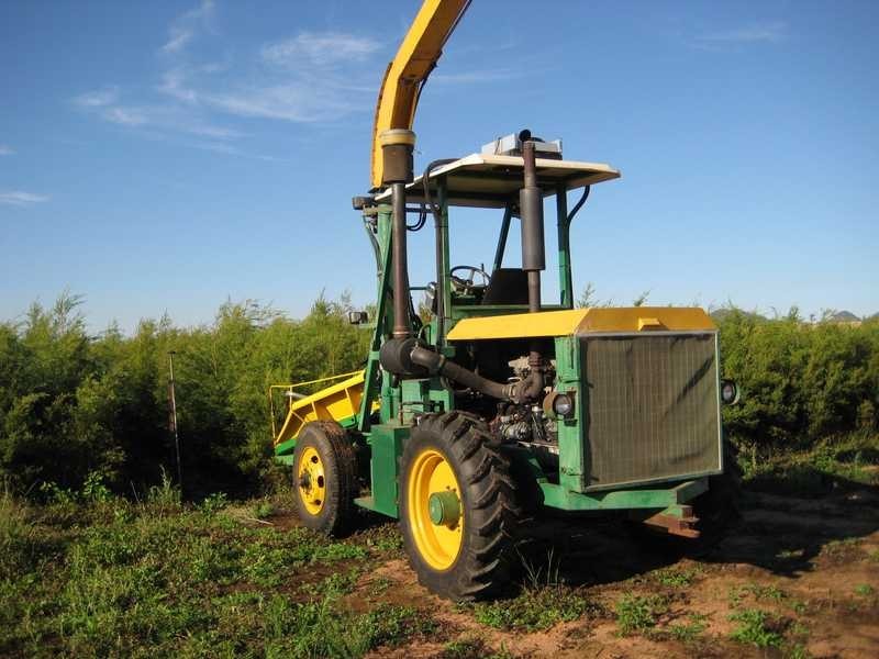 Boonmoo Road, Dimbulah QLD 4872