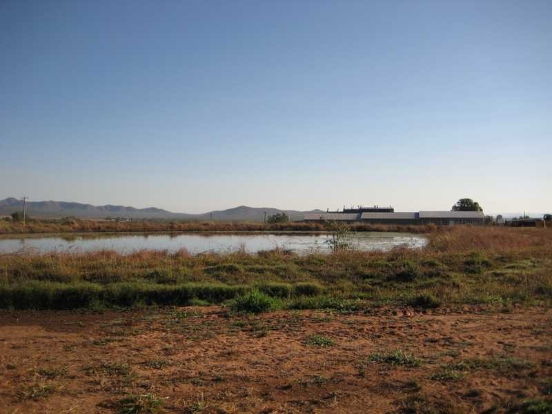 Boonmoo Road, Dimbulah QLD 4872