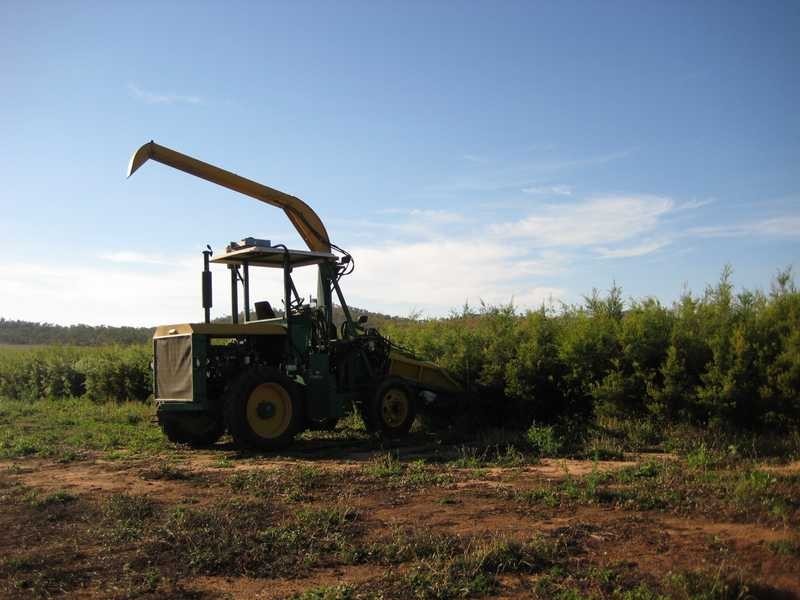 Boonmoo Road, Dimbulah QLD 4872