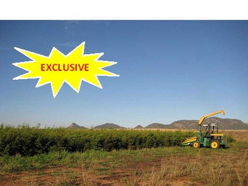 Boonmoo Road, Dimbulah QLD 4872